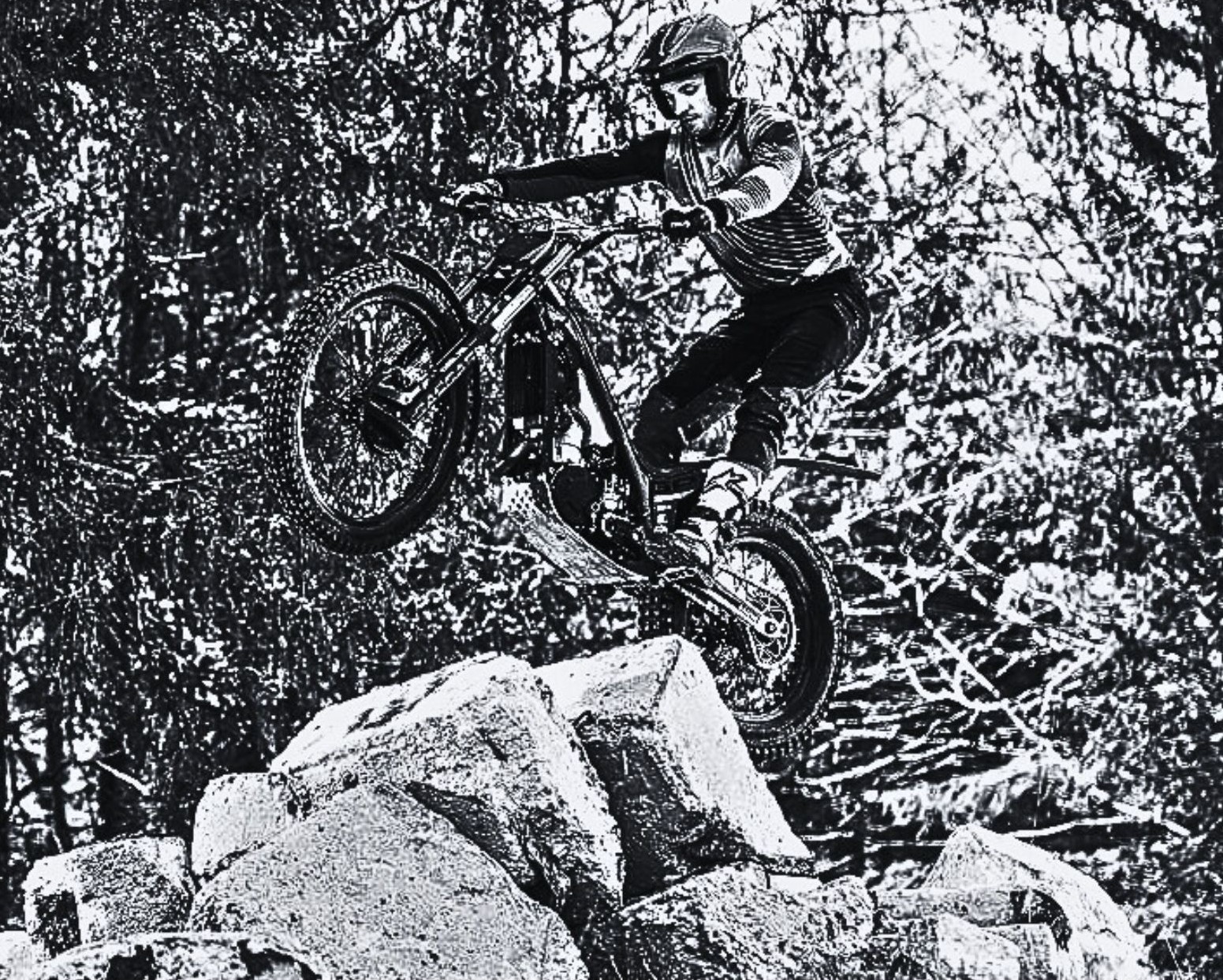 Trial